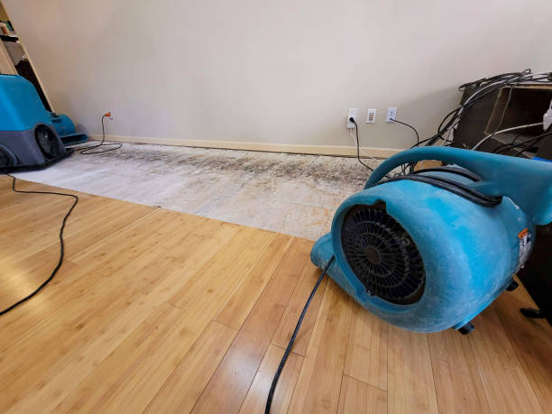 Professional Structural Drying technician working in Corning, CA